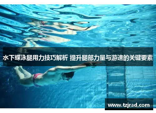 水下蝶泳腿用力技巧解析 提升腿部力量与游速的关键要素
