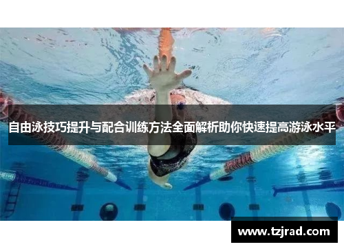 自由泳技巧提升与配合训练方法全面解析助你快速提高游泳水平